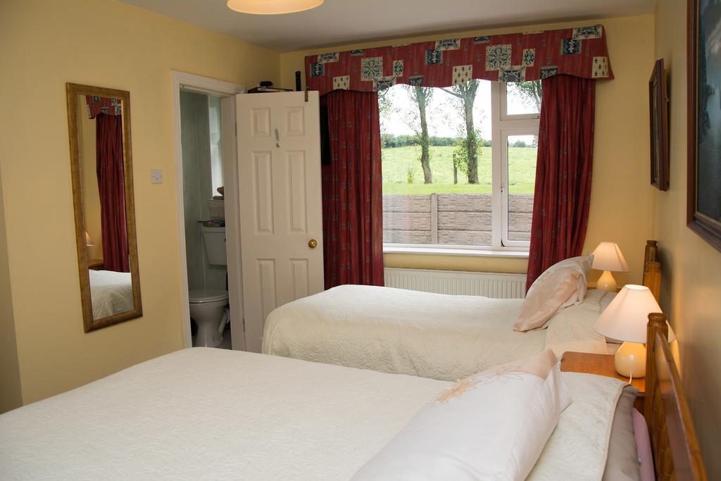 Glin Knights Haven Bed & Breakfast エクステリア 写真